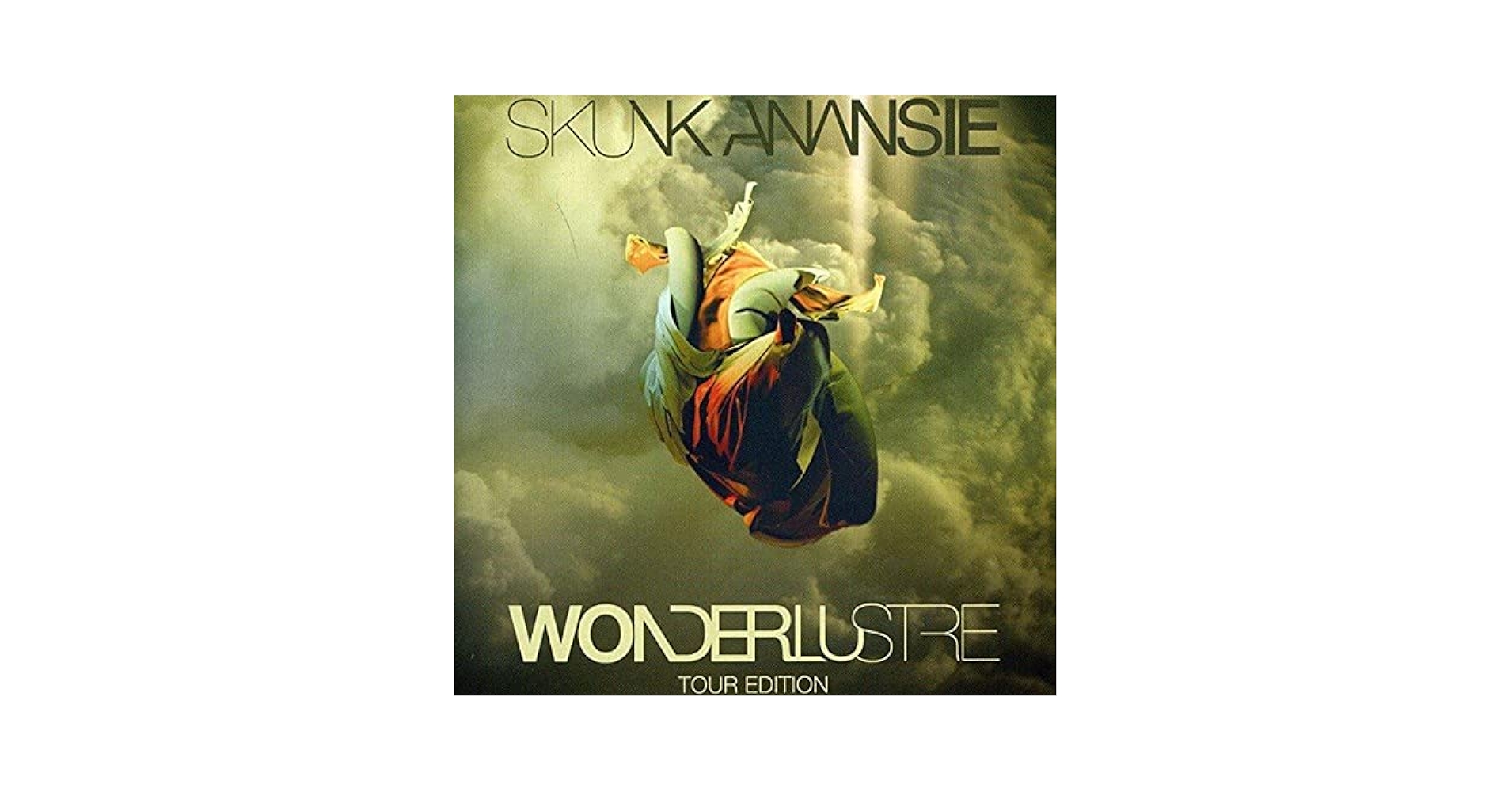 その他 An Acoustic Skunk Anansie [DVD] An-acoustic-Skunk-Anansie-Live