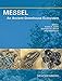 MESSEL - An Ancient Greenhouse Ecosystem (Senckenberg-Buch)