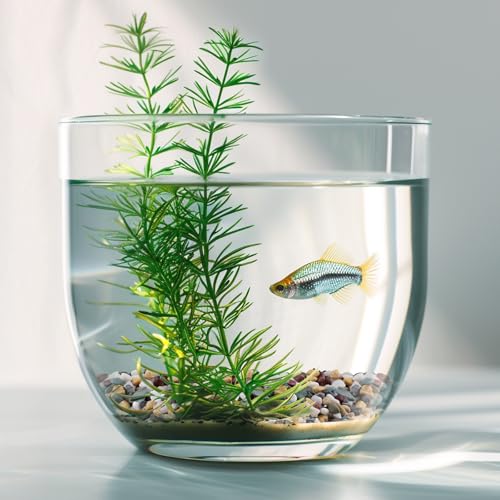 Image of Pulovin 2.5 lbs Pea Gravel for Plants, Aquarium, Fish Tank, 3 /8 inch Decorative Pebbles for Indoor Plants, Succulent, Bamboo, Vase, Drainage Rocks for Potted Plants, Top Dressing, Mixed Color