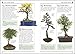 101 Essential Tips Bonsai: Breaks Down the Subject into 101 Easy-to-Grasp Tips