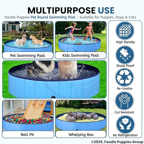 Image of Foodie Puppies Portable Collapsible Dog Swimming Pool - (120 x 30 cm), Bath Tub for Dogs and Cats, Slip-Resistant Pet Wading Pool for Indoor and Outdoor, Durable PVC, Anti-Skid Bottom, Large Size