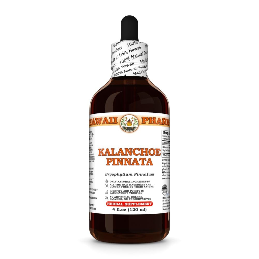 Hawaii Pharm Kalanchoe Pinnata Leaf Liquid Extract, 4 fl oz 4 Fl Oz (Pack of 1)