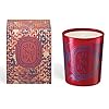 Diptyque city candle shanghai  urban country home decor