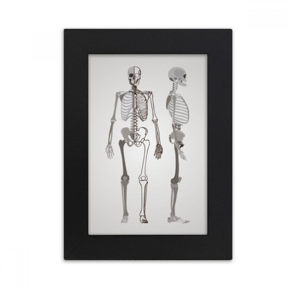 Cadre photo squelette humain croquis original pour cadeau d'anniversaire