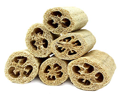 Natural Loofahs by Spa Destinations Six (6) Pack of 4 for Bath, Shower and Body- exfoliating for Men and Women