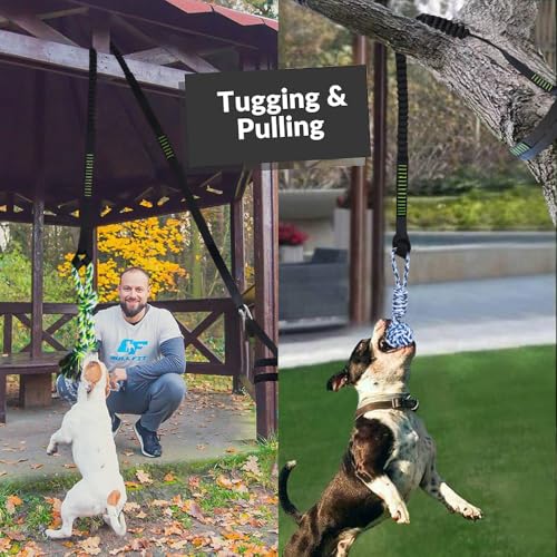 TUAHOO Bungee-Ziehspielzeug für Hunde, Outdoor Hundespielzeug zum Aufhängen mit 2 Kauseilen, Interaktives Tau Spielzeug Hunde Seil für Training Ziehen