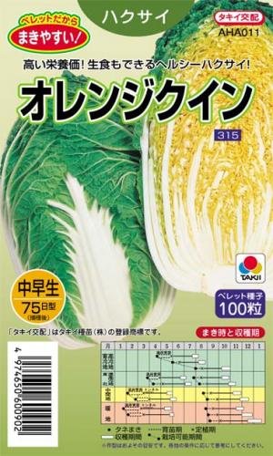 Amazon | 白菜 種 【 オレンジクイン 】 種子 小袋（約100粒） | 野菜