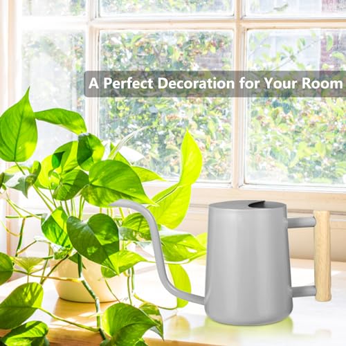 Image of Watering Can Indoor Plants, 35oz Small Indoor Stainless Steel Metal Watering Can Modern Decorative Watering Pot with Long Spout for Indoor House Plant Bonsai Garden Flowers (Gray)