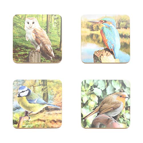 British Wildlife Set di 4 sottobicchieri con