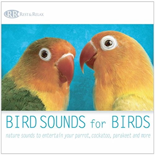 Play Bird Sounds for Birds Nature Sounds to Entertain Your Parrot