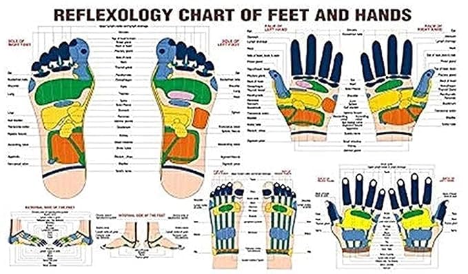 Image of acupressure Finger Care Massager Rings Power Balls-Power Thumbs-Reflexology Chart For Hand /Feet