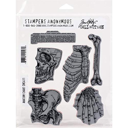 Tim Holtz - Stampers Anon Cling RBBR Stamp Set, Anatomy Chart