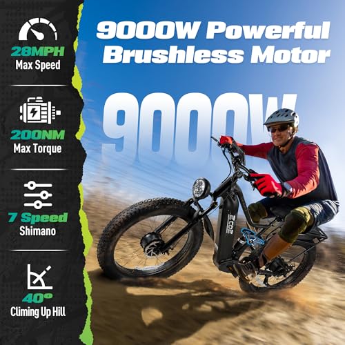EcoE 9000W Dual Motor Electric Bike
