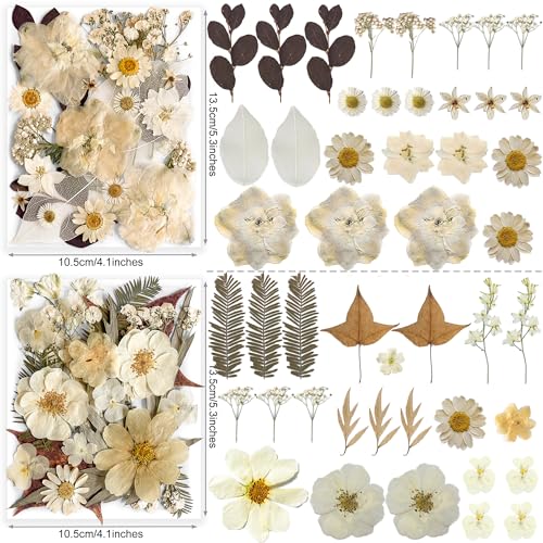 Image of 96PCS Vintage White Dried Pressed Flowers for Resin Craft - YouthBro Real Nature Flowers Set with 50 PCS Butterfly Stickers for DIY Scrapbook Art Floral Decors