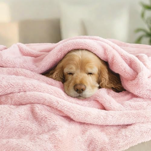 Image of VOMZER Premium Plush Double Blanket | 300 GSM Lightweight Cozy Soft for Bed Sofa Couch Travel Camping| 254X229 Cm /90x100 Inches Baby Pink