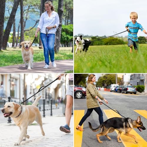 Demigreat Schleppleine für Hunde, 1.5m / 3m / 5m Robuste Lange Hundeleine Trainingsleine mit Gepolsterter Griff und handschlaufe, Ausbildungsleine für Kleine bis Große Hunde