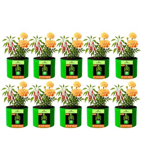 Image of Kingwell grow bags 9x9 inches pack of 10 Grow Bag For Terrace Garden Leafy Vegetable Plant Grow Bags Fruits Growing Containers For terrace Gardening