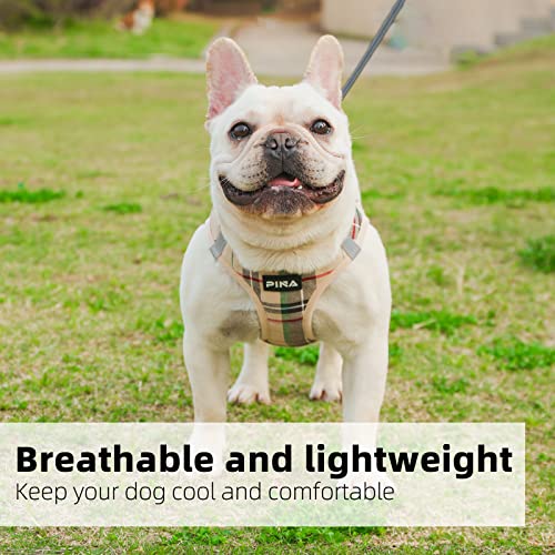 Pina Dog Harness For Small Medium Dogs No Pull, Dog Harness And Leash Set, No Choke Breathable Mesh Dog Vest Harness, Lightweight Adjustable Small Medium Dog Harness - Easy To Put On And Take Off #TOP2