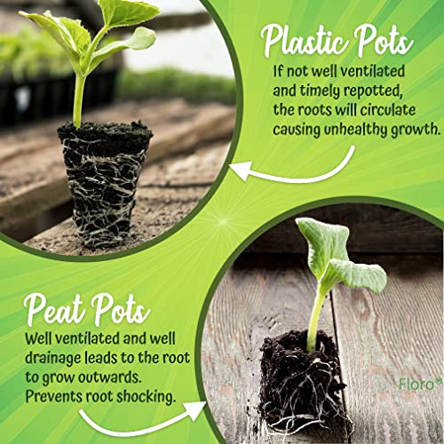 Floro Peat Pots, 3" Starter Pots For Saplings And Seedlings, Encourages Healthy Root System, Lowers Transplant Shock And Suitable For Various Plant-Growing Methods, 50 Pcs Per Pack #TOP3