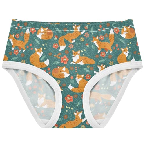 Little Girls' Soft Cotton Underwear Kids Cool Breathable Comfort Briefs Toddler Undies for 2-8Years