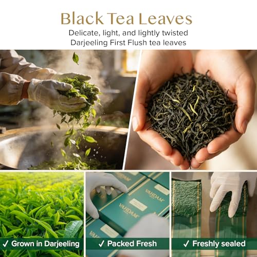 Image of VAHDAM First Flush Darjeeling Tea (12oz|170+ Cups) Loose Leaf Black Tea