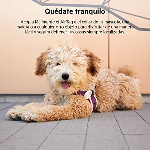 Miniatura 4 de Belkin Funda para Apple AirTag con Clip, Carcasa Protectora Secure Holder con Llavero, Anillo con Llavero para Air Tag con Cobertura antiarañazos, Blanca