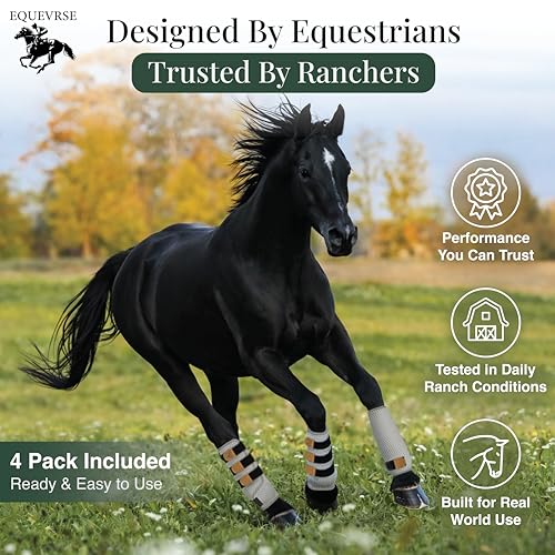 Image of Premium Horse Fly Boots for Horses Set of 4 Protective and Comfortable Fly Boots for Large Breeds Soft Polyester Bamboo Lining Adjustable Horse Leg Wraps (4 Pack)