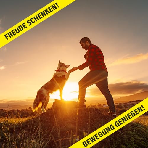 Saint Nutrition® Canine Booster für Hunde - Gelenkkraft & Gelenkgesundheit für Ihr Tier - bessere Beweglichkeit der Gelenke mit Mariendistelöl – stärkere Zähne für Hund, 50 ml