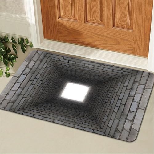 NEYTIIR Alfombra 3D, Suave, Antideslizante, para Puerta Delantera, para Baño, Ducha, Bañera, Fregadero, Inodoro, Entrada, Entrada, Felpudo Interior(05,40 * 60cm)