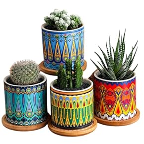 広東鉢　六角　絵鉢　大きめ鉢 小鉢 六角高台 – Zakka+Sake Bar DEARYOU 表参道店