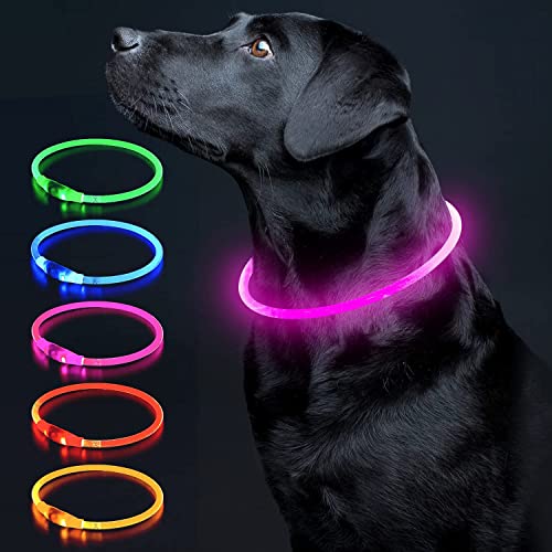 Colaseeme LED Dog Collar Light Up Dog Collars 1 Count USB Recharg...