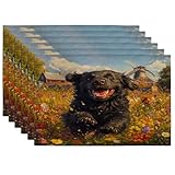 Lot de 6 sets de table imprimés de chiens de Terre-Neuve - 30,5 x 45,7 cm - Motif chiot de campagne - Pour salle à manger, jardin, vacances, maison, cuisine