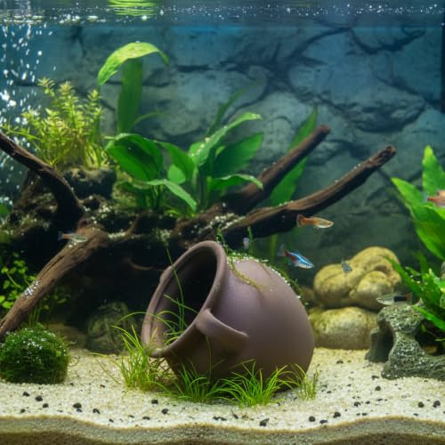 Image of AnRui Ceramic Jar Aquarium Ornament Decor Natural Clay Vase Betta House Hideout Cave Pot Fish Tank Decorations Accessories for Cichlid, Small Fish, Shrimp to Play Hide Breed Habitat, Large