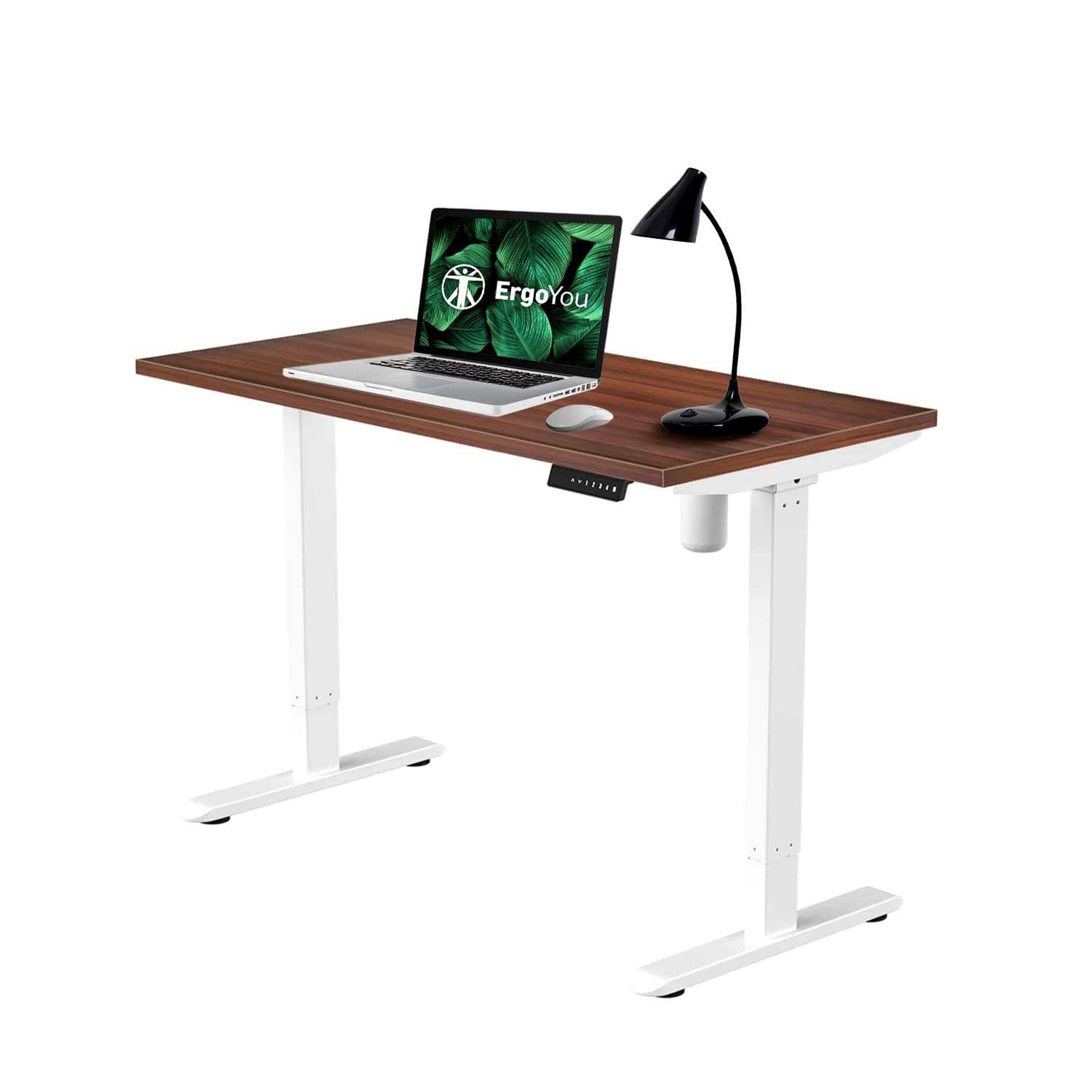 ErgoYou Electric Height Adjustable Standing Table 59 x 29.5 inches