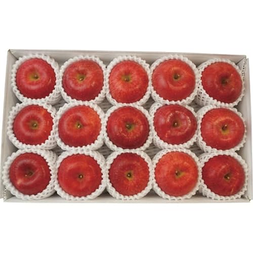 2025年お歳暮特別企画 長野県産 サンふじりんご(3.4kg)