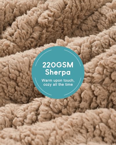 Cottonblue Jacquard Sherpa Weighted Blanket 20lbs for Adults- Soft, Warm, and Thickened Calm Blanket for Ultimate Comfort and Better Sleep, Heavy Weighted Blankets 60x80 Inches, Cream White