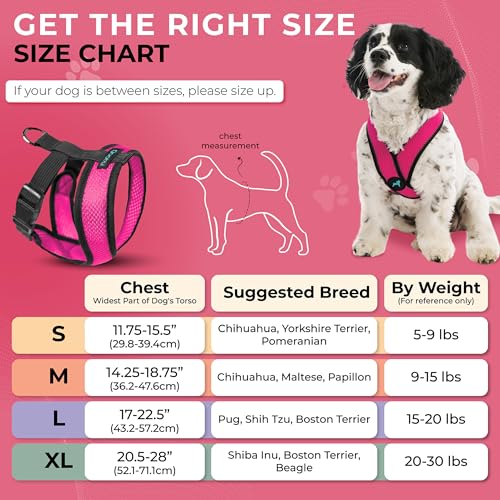 Image of Gooby Comfort X Head-in Dog Harness, Choke-Free, Flamingo Pink, Small