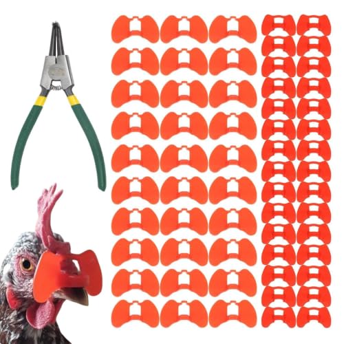 Gafas anticombate para gallinas de PP de alta resistencia con aplicador