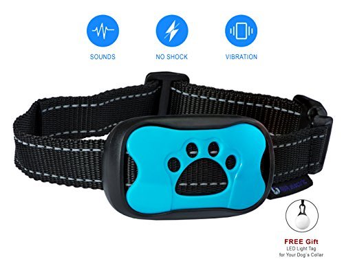 dog training no barking