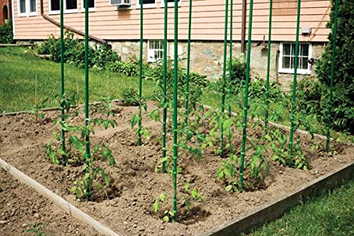 TCLPVC Bamboo Sticks Home Backyard Plant Support (6 ft Pack of 20)-image-17
