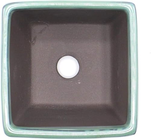 Miniatura 4 de Seto Yaki Bonsai - Maceta de cerámica (3.1in, Oribe-Yu)