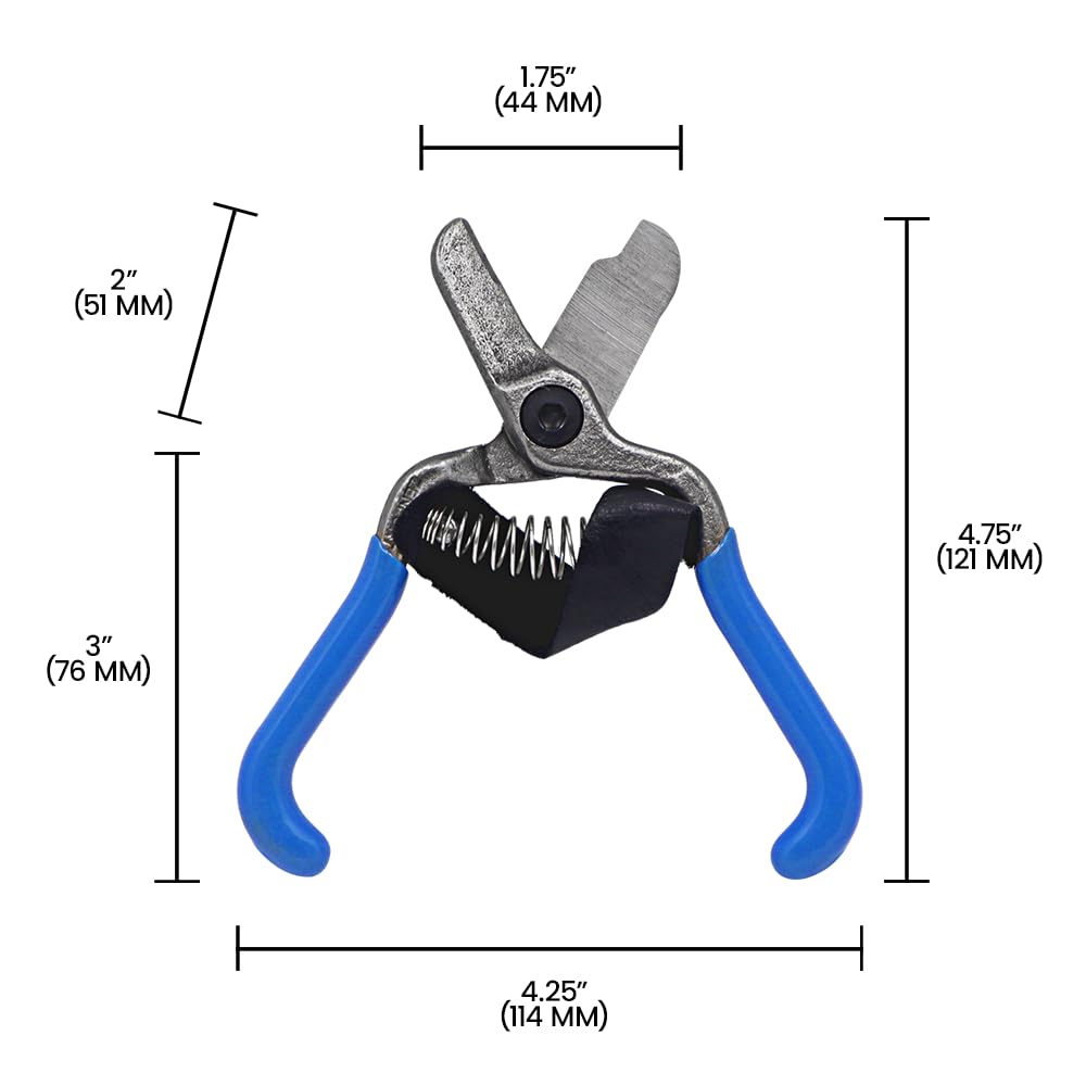 Amazon.com : Zenport 5.5-inch Forged Lemon Shear w/PVC Grips