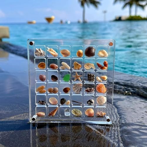 Acrylic Magnetic Seashell Display Box, 36/64/100 Grids Clear Mini Seashell Wall Storage Display Organizer Box, Sea Shell Holder Storage Organizer Box for Seashell, Bead, Nail, Jewelry (36 Grids)