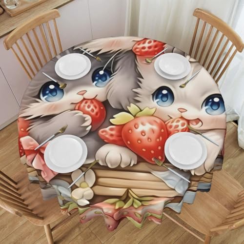 �~�`�e�[�u���N���X �q�L�̉ʕ� �k�� �e�[�u���J�o�[ ����h�~ ������� 152cm/60in �ۃe�[�u���E�e�B�[�e�[�u���E��Ɨp�e�[�u���Ή�