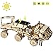 ROKR solarbetriebene Spielzeugauto-3D Holzpuzzle Modell Kits-Mechanische Modell Baukasten für Jugendliche und Erwachsene (HM Rover)