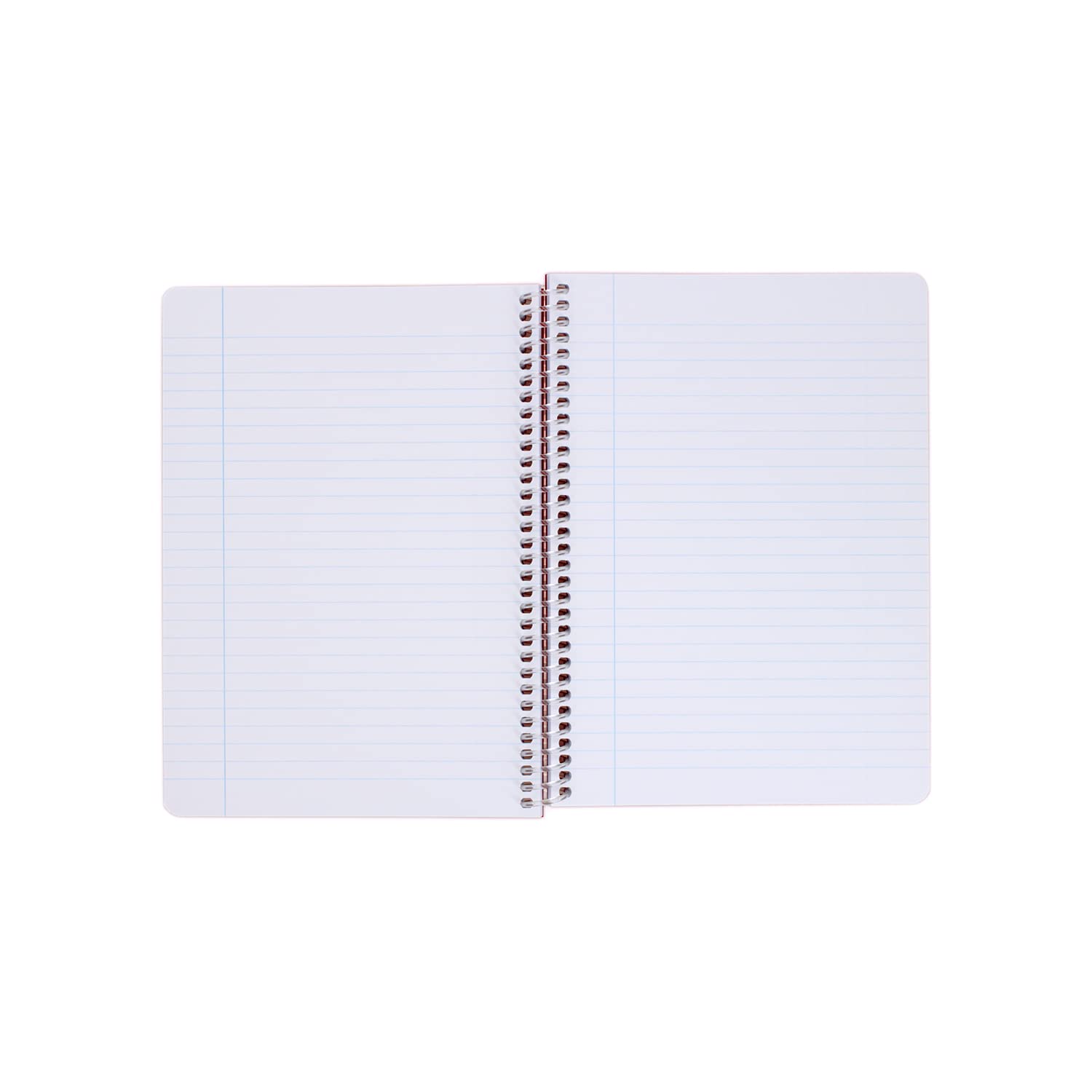 Grafoplás 98533221 Notizbücher, A5, liniert, Polypropylen, hellgrün, FSC-zertifiziert, Serie Color Note