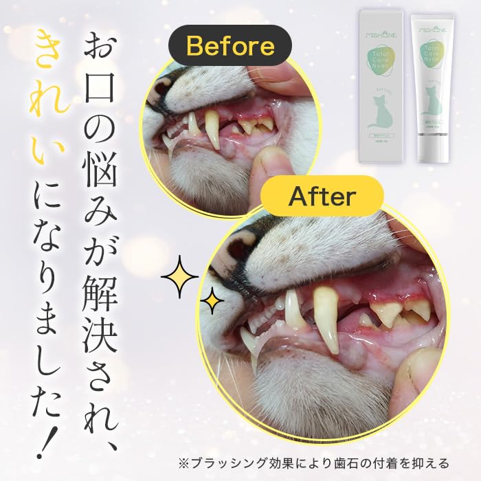 Amazon.co.jp: ミシュワン MISHONE トータルケアニャン 猫 歯磨き