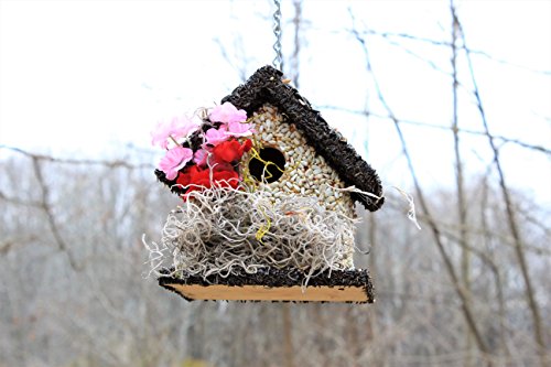 Edible Birdhouses | Reseedable Wooden Birdhouse Covered W/Birdseed | Squirrel Proof Bird Feeder | Made In The Usa (Sd) #TOP3