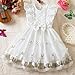 Girls Ruffle Sleeve A-Line Princess Dress, Cute Floral Embroidery Tulle Formal Birthday Party Dresses for 3-8 Years