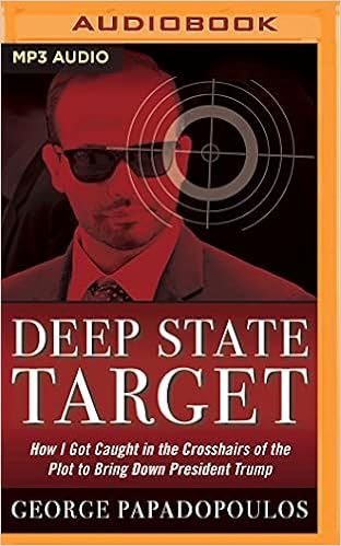 Deep State Target book cover